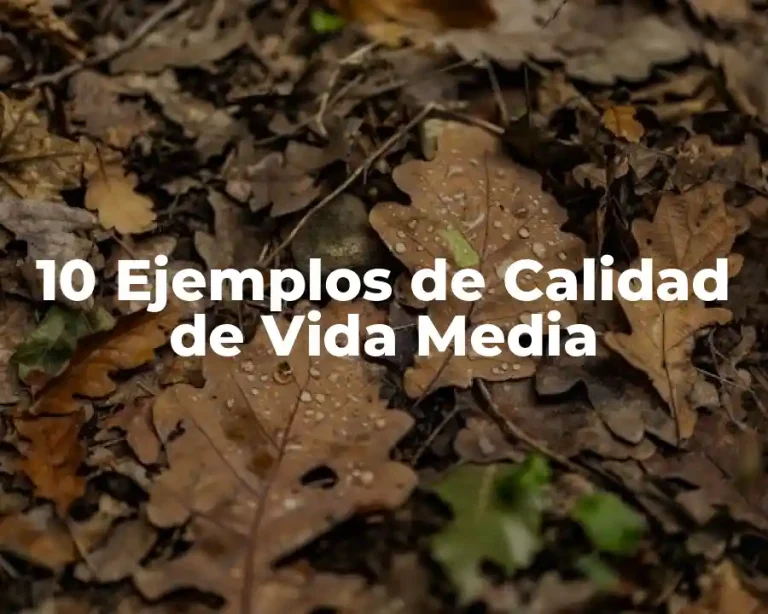 10 Ejemplos de Calidad de Vida Media