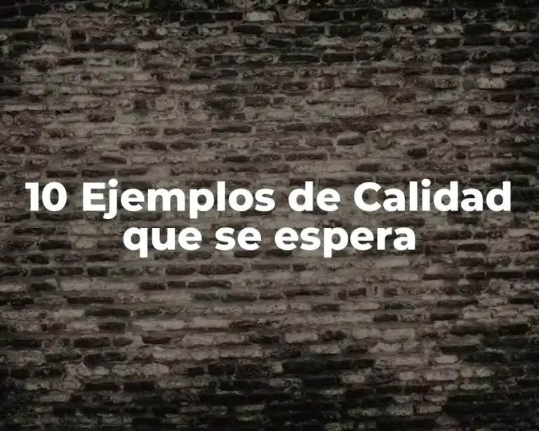 10 Ejemplos de Calidad que se espera