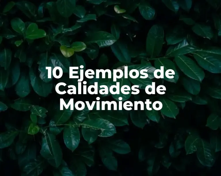 10 Ejemplos de Calidades de Movimiento
