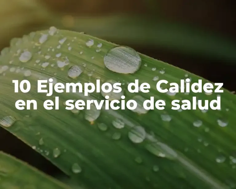 10 Ejemplos de Calidez en el servicio de salud