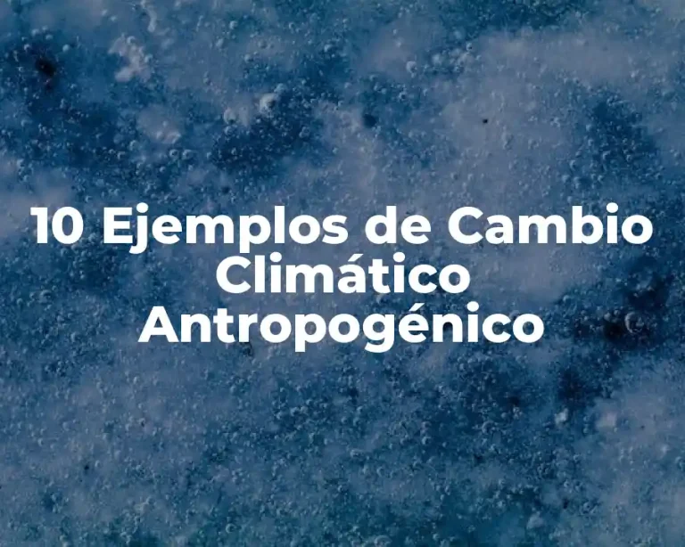 10 Ejemplos de Cambio Climático Antropogénico