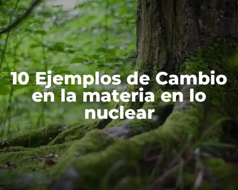 10 Ejemplos de Cambio en la materia en lo nuclear