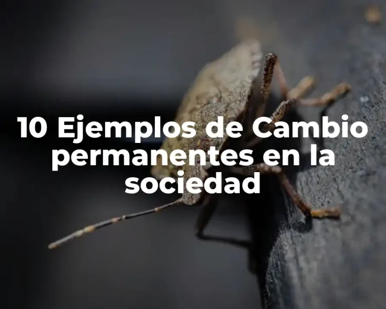 10 Ejemplos de Cambio permanentes en la sociedad