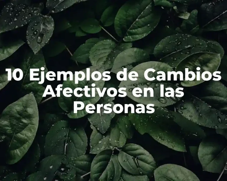 10 Ejemplos de Cambios Afectivos en las Personas