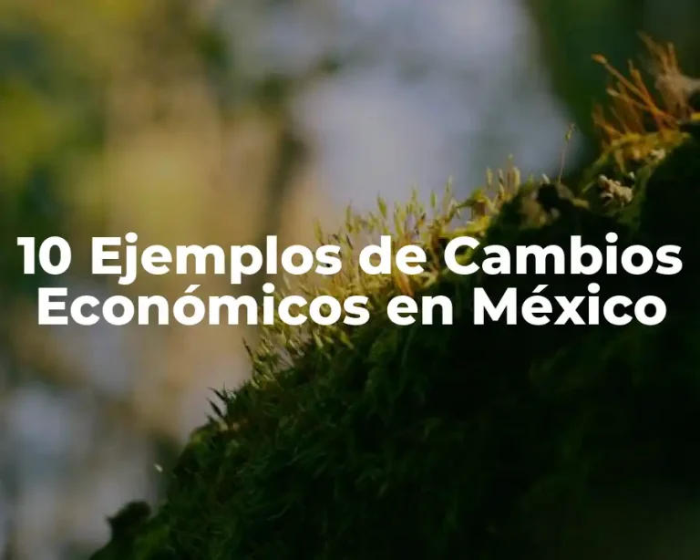 10 Ejemplos de Cambios Económicos en México