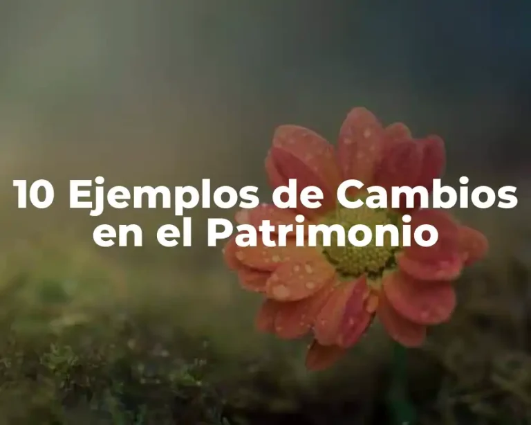 10 Ejemplos de Cambios en el Patrimonio