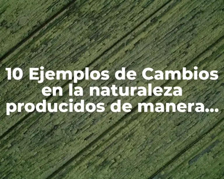10 Ejemplos de Cambios en la naturaleza producidos de manera natural