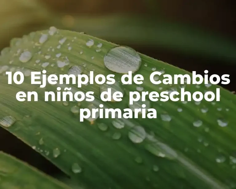 10 Ejemplos de Cambios en niños de preschool primaria