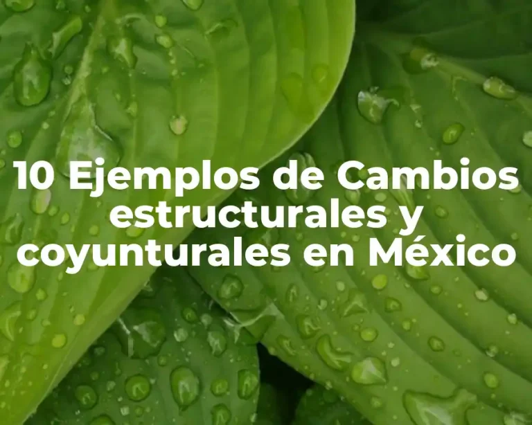 10 Ejemplos de Cambios estructurales y coyunturales en México