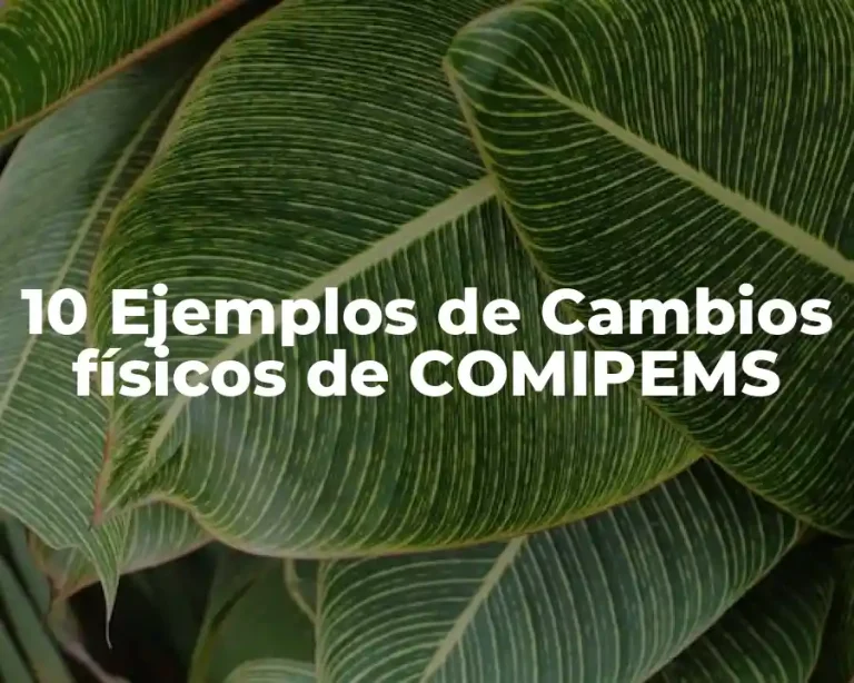 10 Ejemplos de Cambios físicos de COMIPEMS