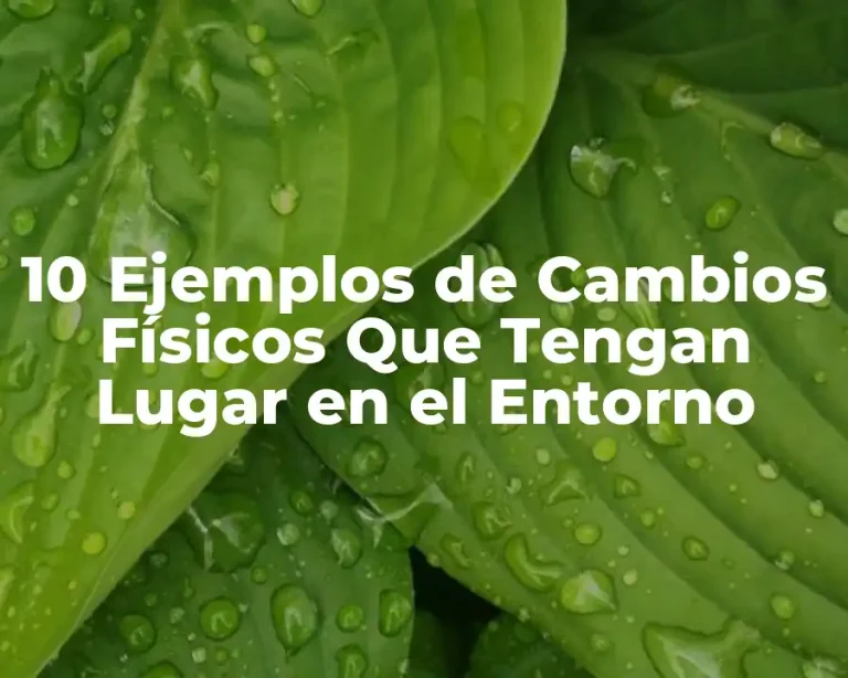 10 Ejemplos de Cambios Físicos Que Tengan Lugar en el Entorno