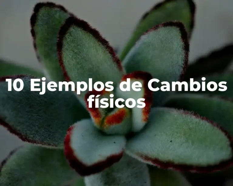 10 Ejemplos de Cambios físicos