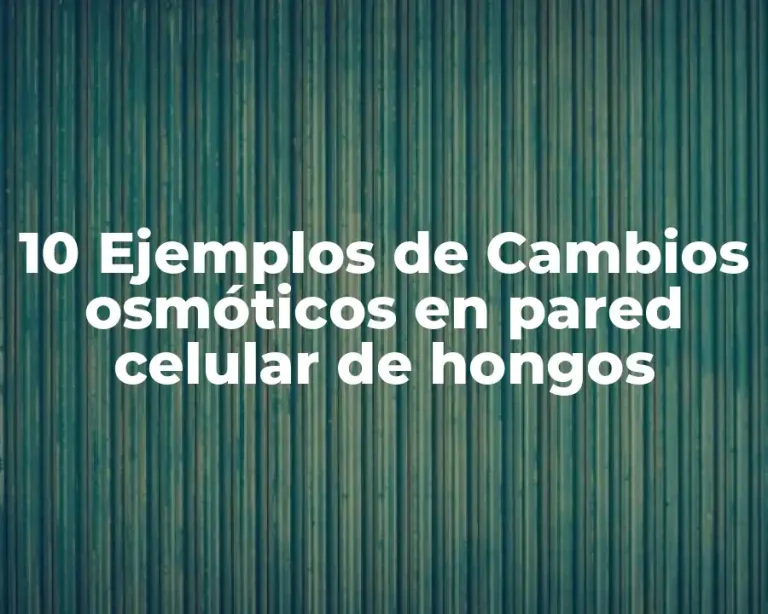 10 Ejemplos de Cambios osmóticos en pared celular de hongos