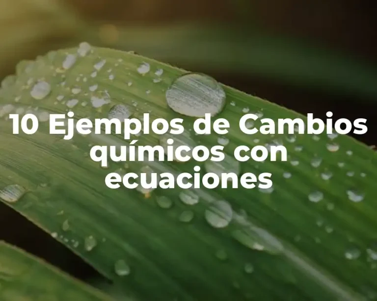 10 Ejemplos de Cambios químicos con ecuaciones