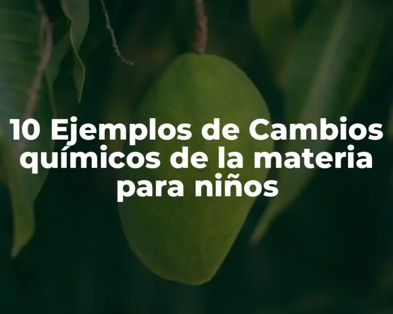 10 Ejemplos de Cambios químicos de la materia para niños