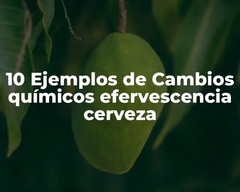 10 Ejemplos de Cambios químicos efervescencia cerveza
