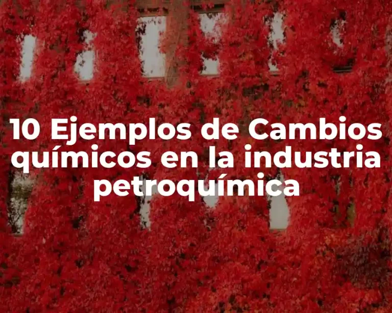 10 Ejemplos de Cambios químicos en la industria petroquímica