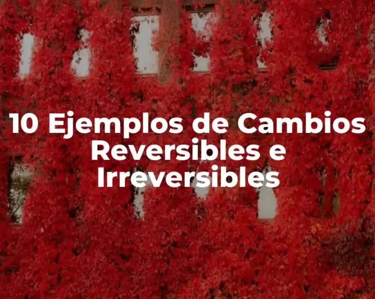 10 Ejemplos de Cambios Reversibles e Irreversibles