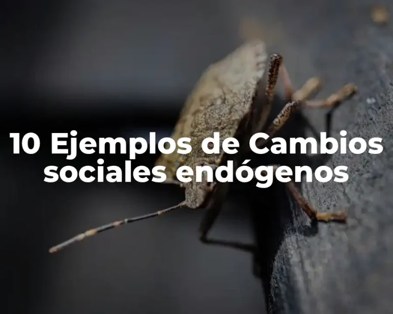 10 Ejemplos de Cambios sociales endógenos