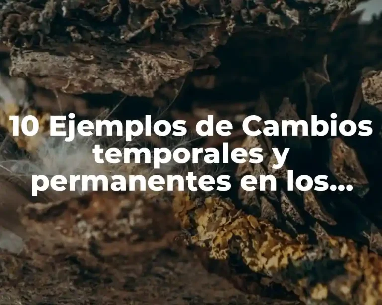 10 Ejemplos de Cambios temporales y permanentes en los materiales