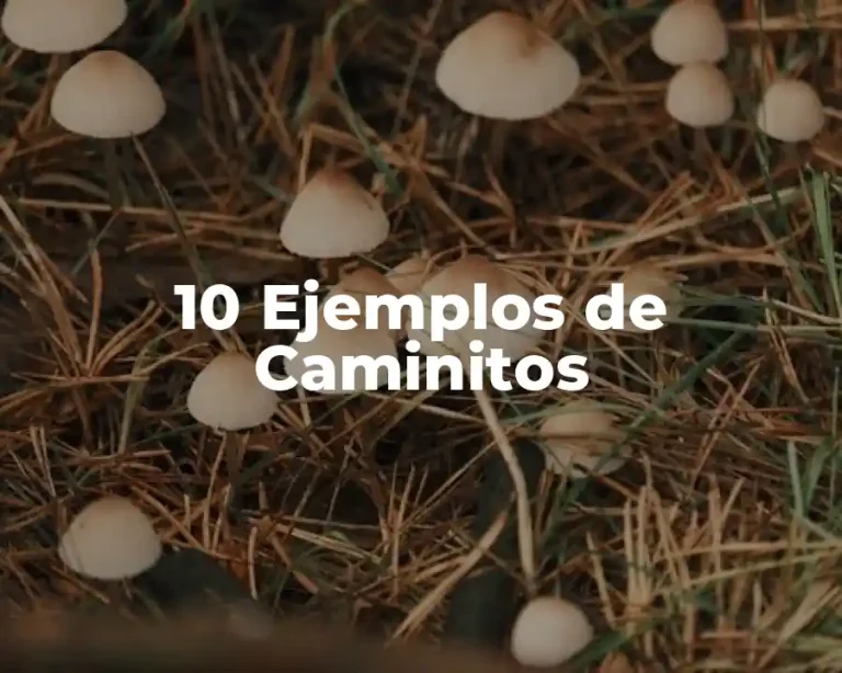 10 Ejemplos de Caminitos