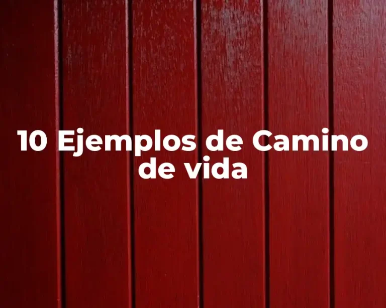 10 Ejemplos de Camino de vida