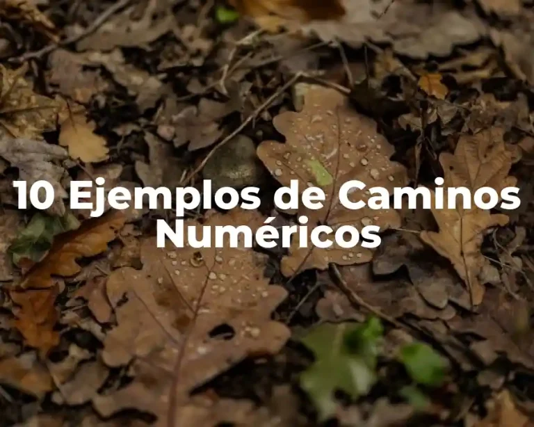 10 Ejemplos de Caminos Numéricos