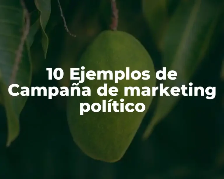 10 Ejemplos de Campaña de marketing político
