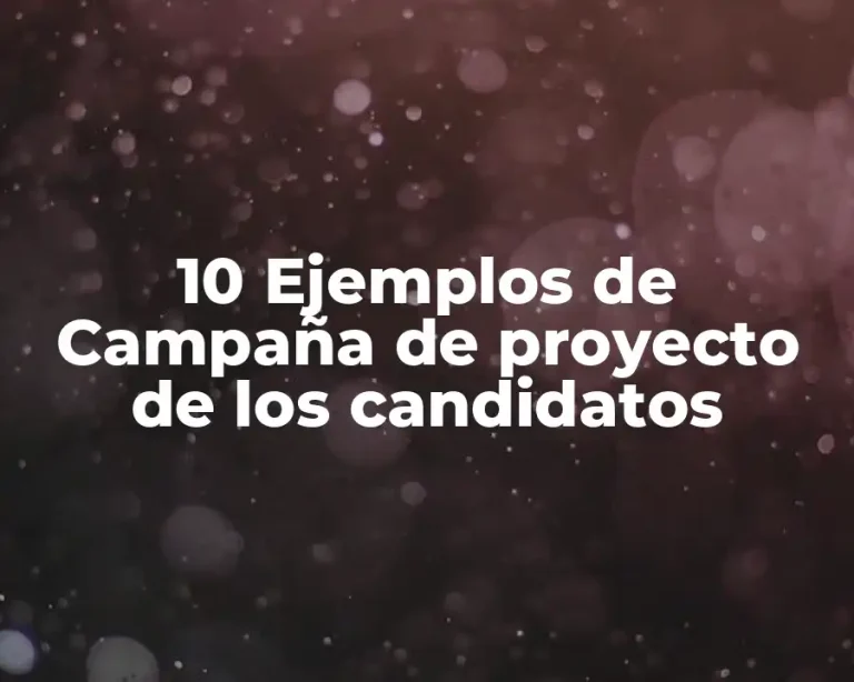 10 Ejemplos de Campaña de proyecto de los candidatos