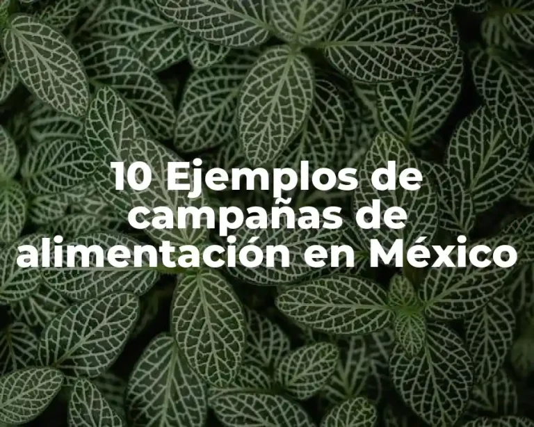 10 Ejemplos de campañas de alimentación en México