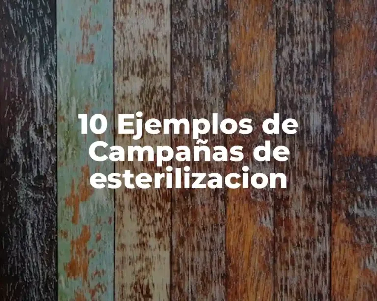 10 Ejemplos de Campañas de esterilizacion