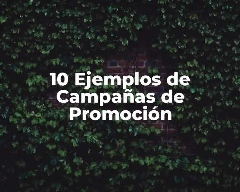 10 Ejemplos de Campañas de Promoción