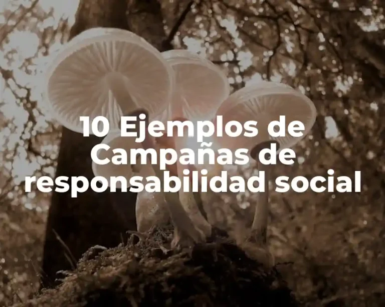 10 Ejemplos de Campañas de responsabilidad social