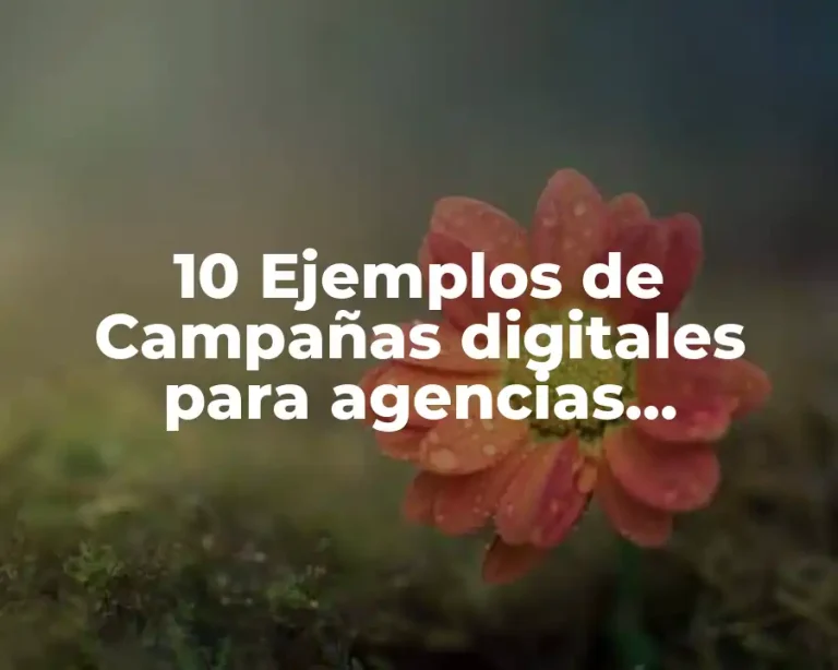 10 Ejemplos de Campañas digitales para agencias automotrices