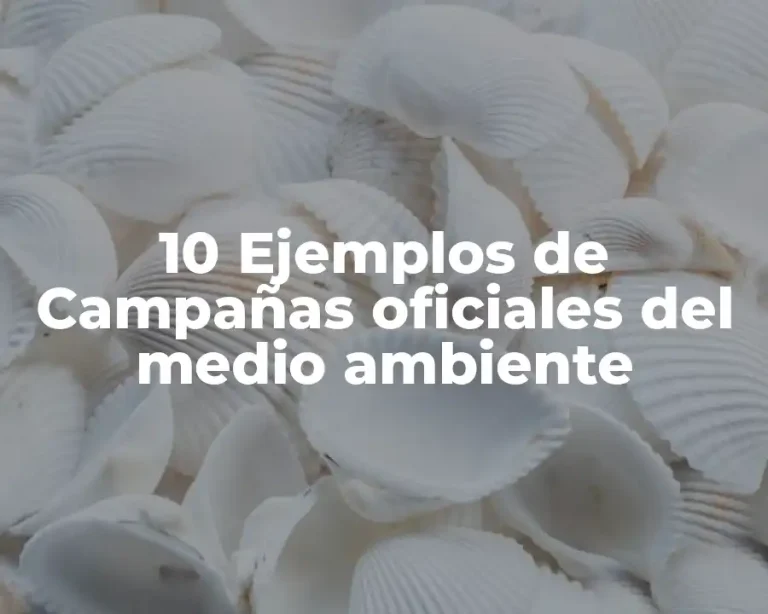10 Ejemplos de Campañas oficiales del medio ambiente