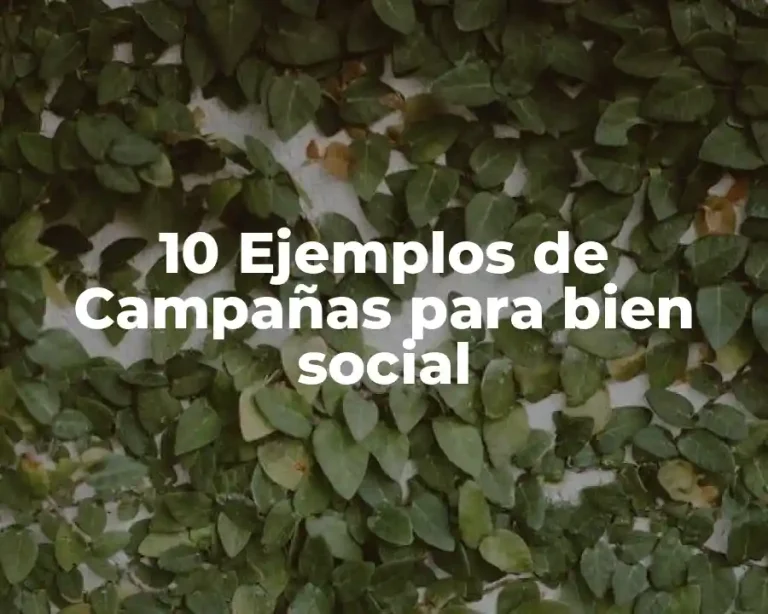 10 Ejemplos de Campañas para bien social