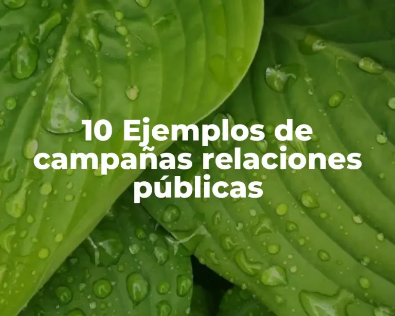10 Ejemplos de campañas relaciones públicas