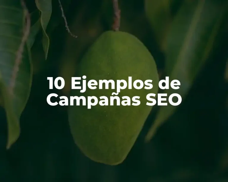 10 Ejemplos de Campañas SEO