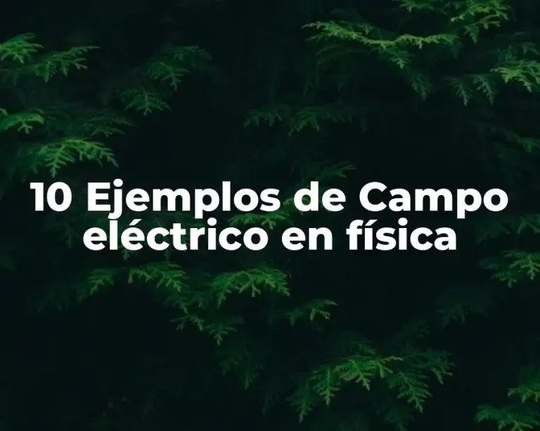 10 Ejemplos de Campo eléctrico en física