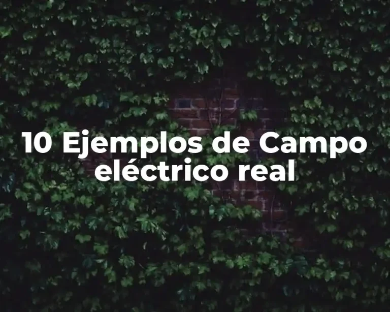 10 Ejemplos de Campo eléctrico real
