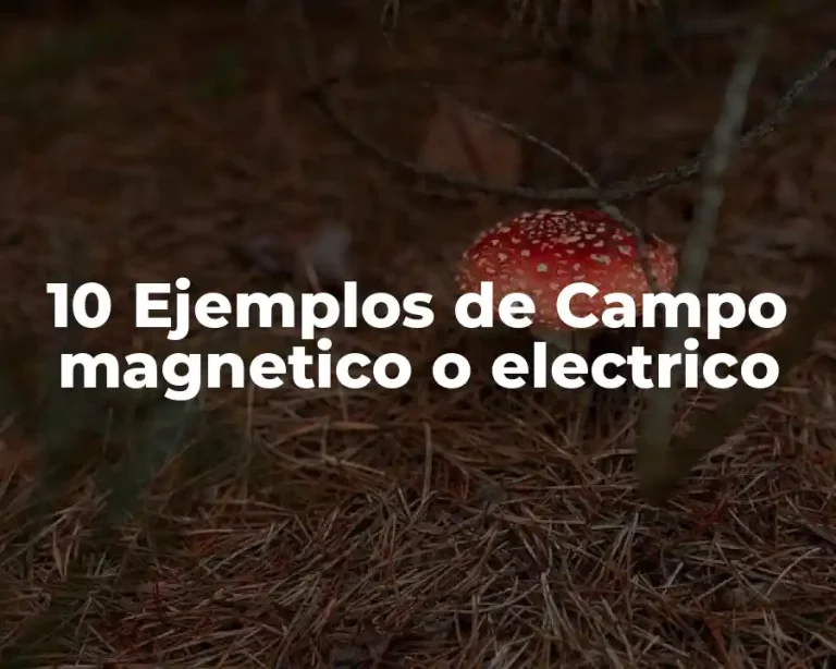 10 Ejemplos de Campo magnetico o electrico