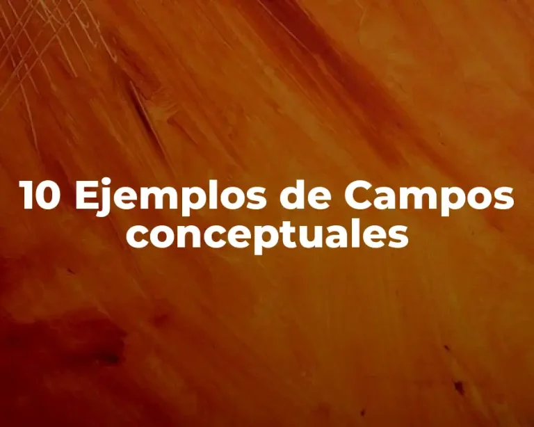 10 Ejemplos de Campos conceptuales