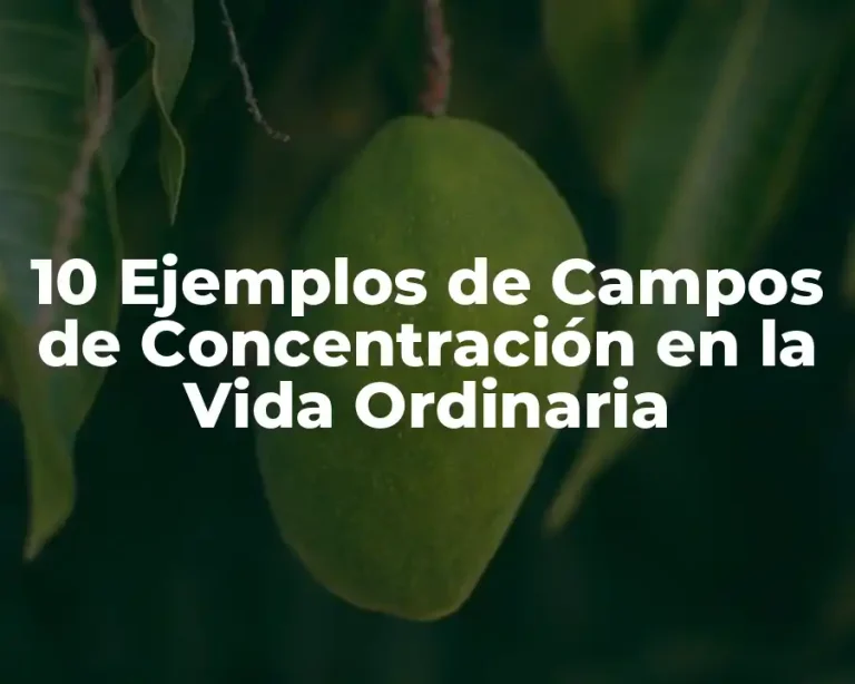 10 Ejemplos de Campos de Concentración en la Vida Ordinaria