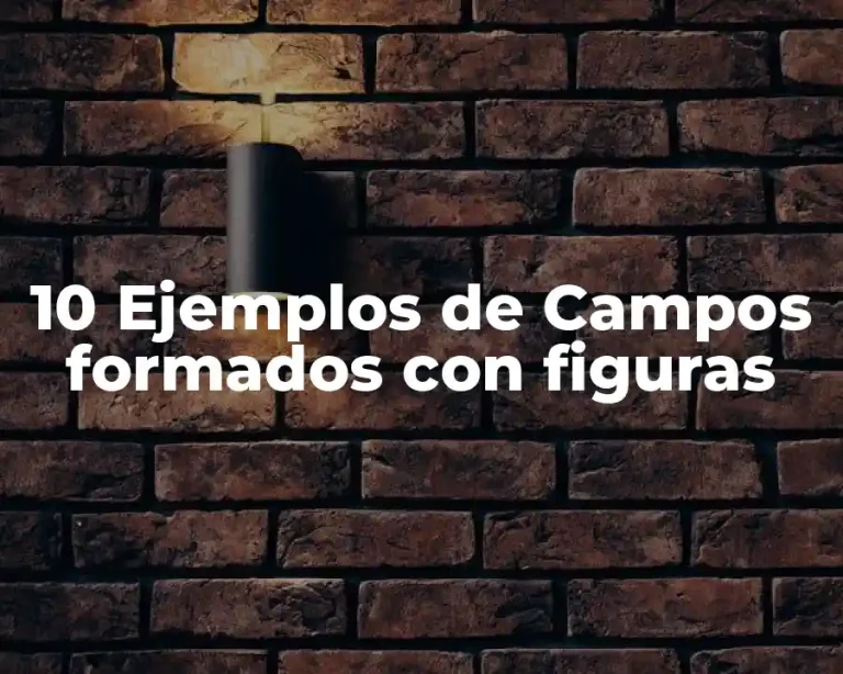 10 Ejemplos de Campos formados con figuras