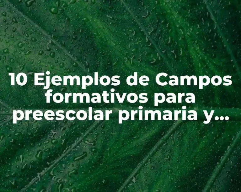 10 Ejemplos de Campos formativos para preescolar primaria y secundaria