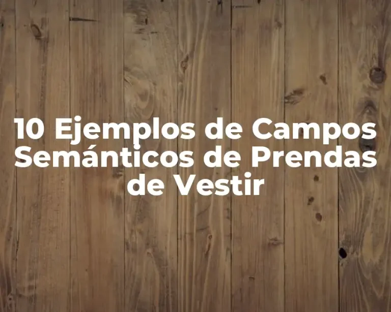 10 Ejemplos de Campos Semánticos de Prendas de Vestir