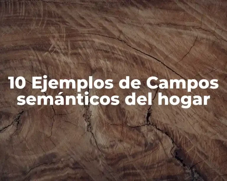 10 Ejemplos de Campos semánticos del hogar