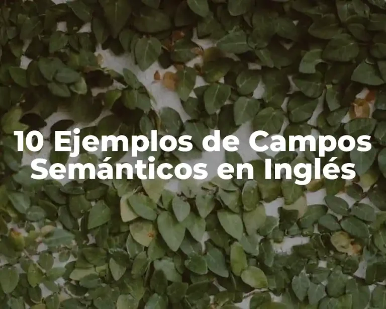 10 Ejemplos de Campos Semánticos en Inglés