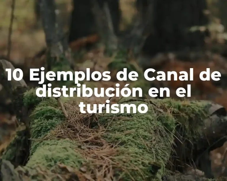 10 Ejemplos de Canal de distribución en el turismo