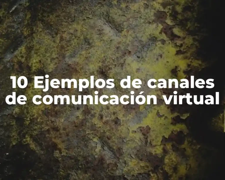 10 Ejemplos de canales de comunicación virtual